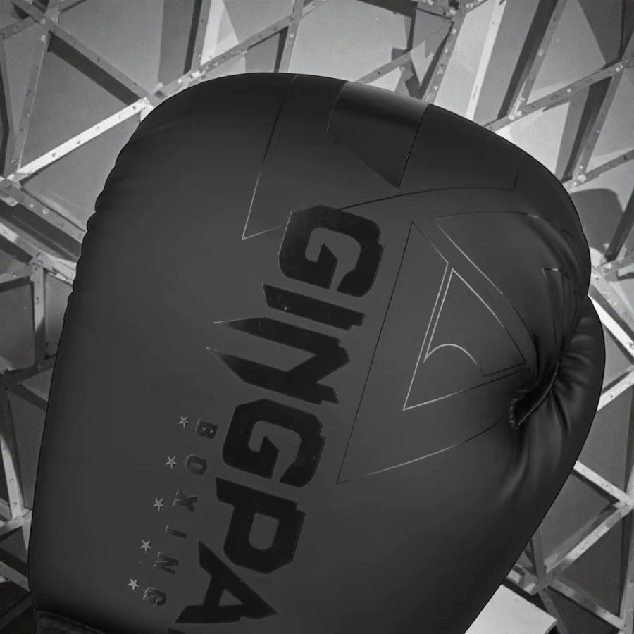 Impacto Pro-Guantes de Boxeo Profesionales